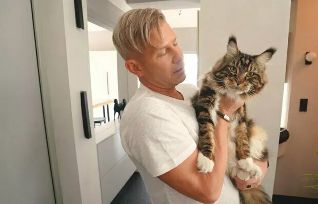 Foto: im Stil , Küche und Esszimmer, Guide – Fotos auf unserer Website