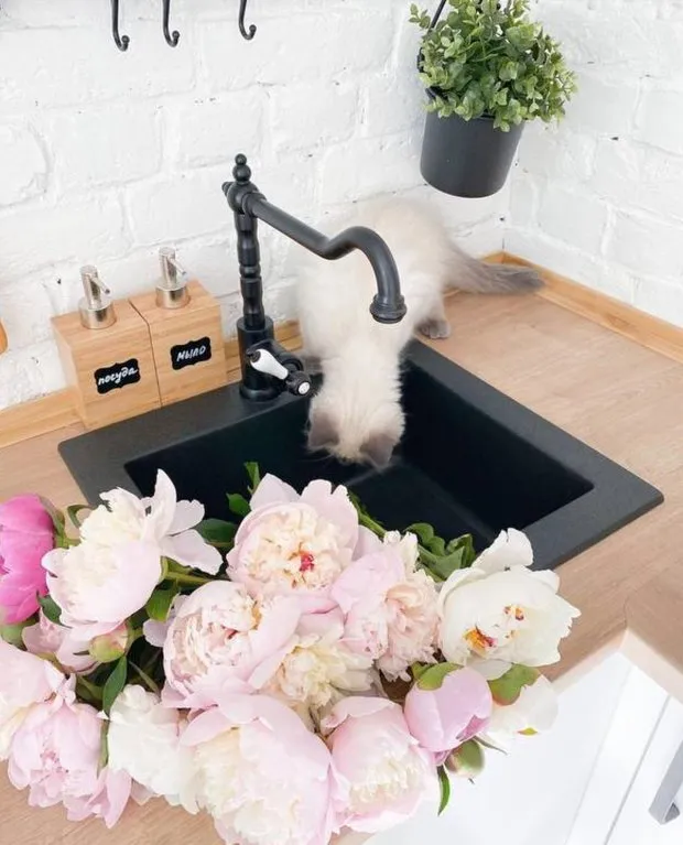 Foto: estilo cocina y comedor, Consejos – foto en nuestro sitio web