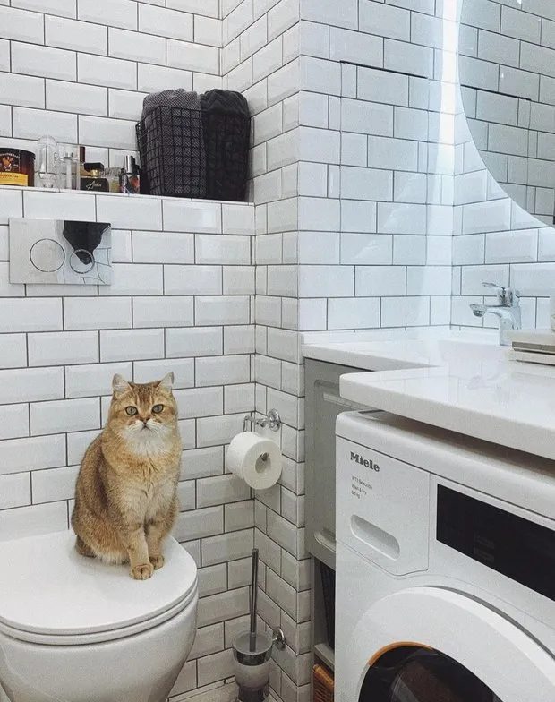 Foto: Baño en estilo Escandinavo, Reparación práctica – fotos en nuestro sitio web