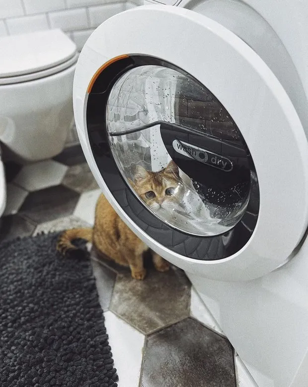 Foto: En estilo Escandinavo, Baño, Reparación práctica – fotos en nuestro sitio web