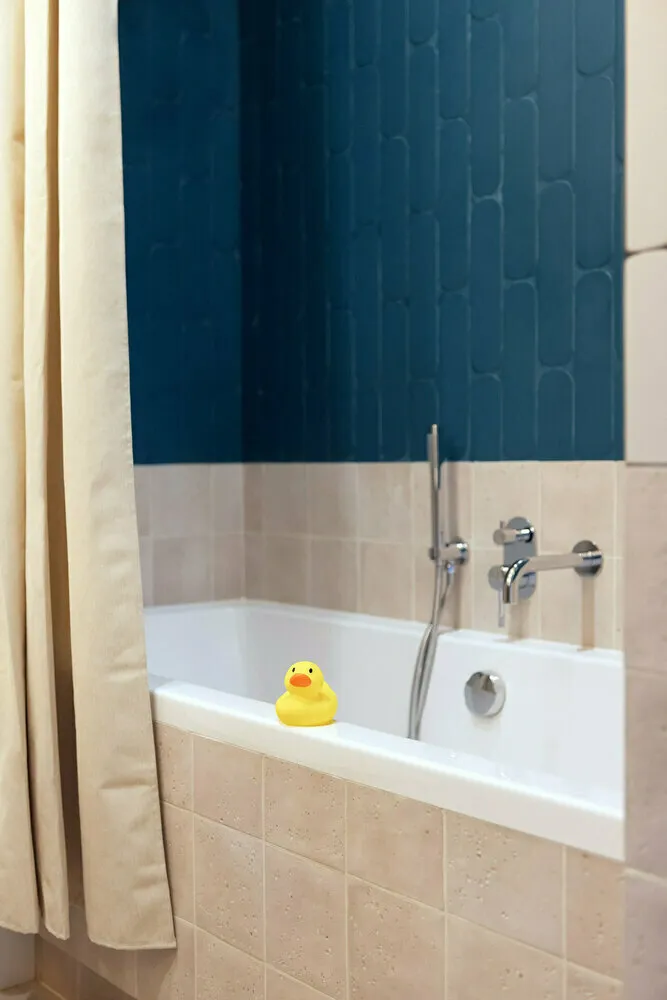 Design : Elena Kolesnikova