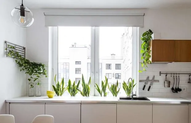 五一假期必备的8项家居任务