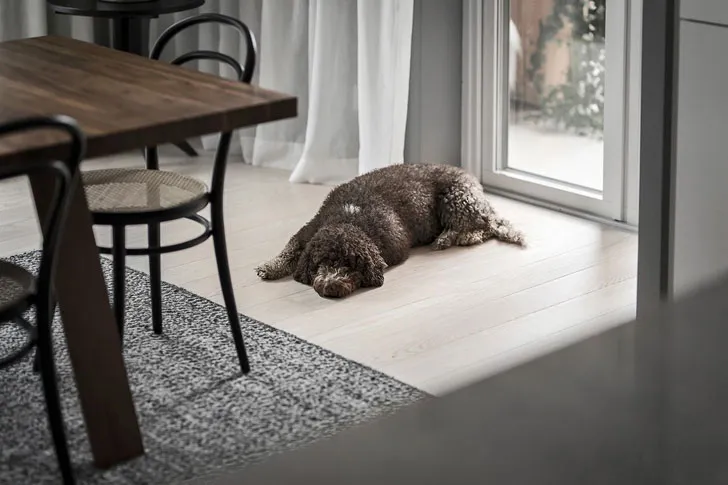 Life in Gray: Stylish Apartments in Stockholm (120 sqm) - 7