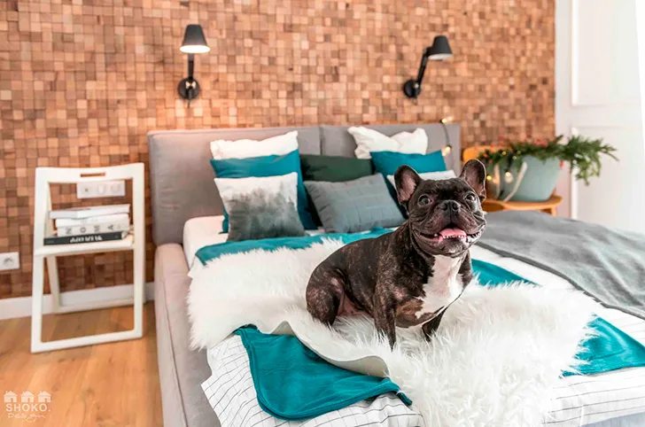 Квартира з панорамними вікнами в Польщі - Gallery image 20