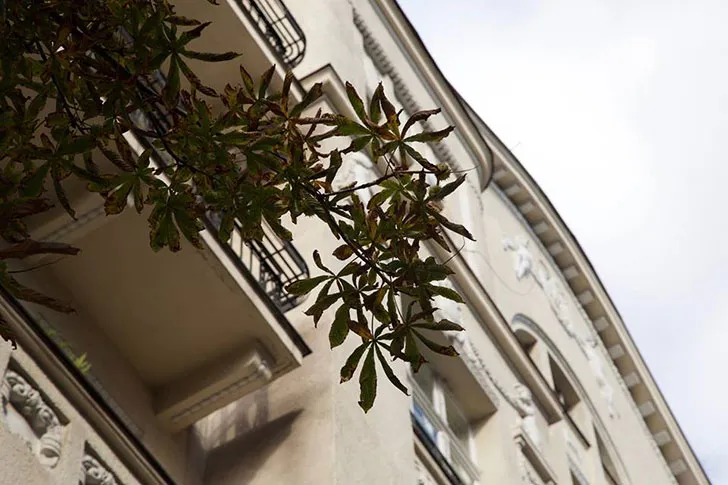 Нічого зайвого: чарівна квартира в Польщі (35 кв. м) - Gallery image 13