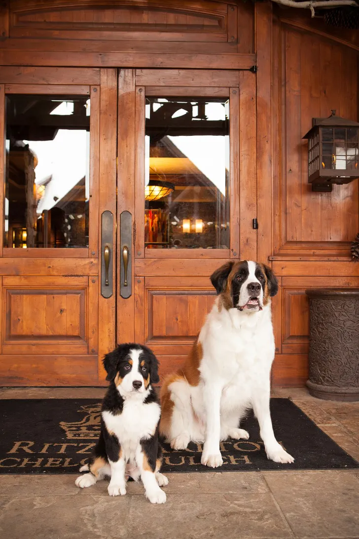 Розкішний готель-шаля The Ritz-Carlton - Gallery image 15