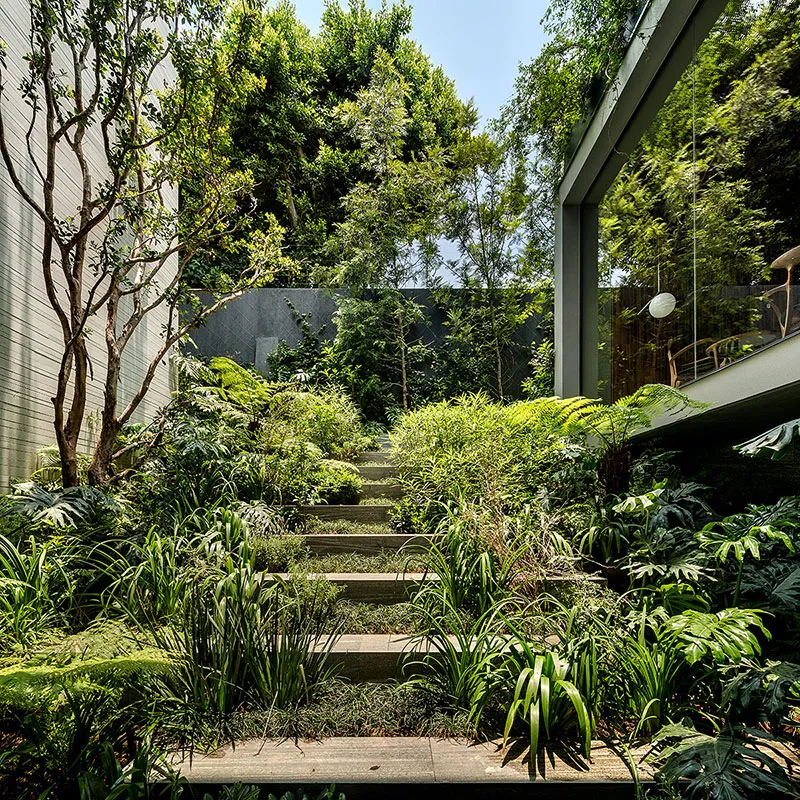 О, цей незабутній дім у Мексиці! - Gallery image 13