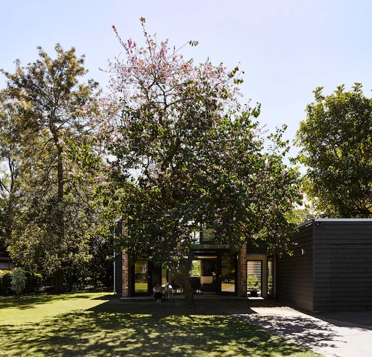 Невеликий дім із величезними вікнами в Австралії - Gallery image 1