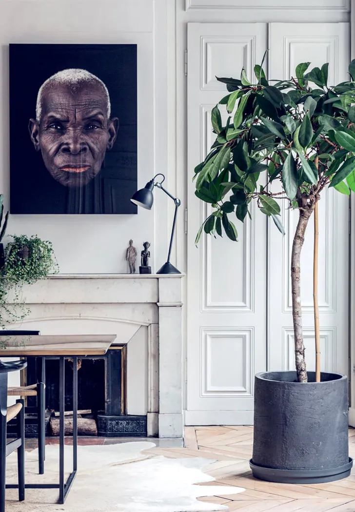 French Charm and European Style in Lyon - 5