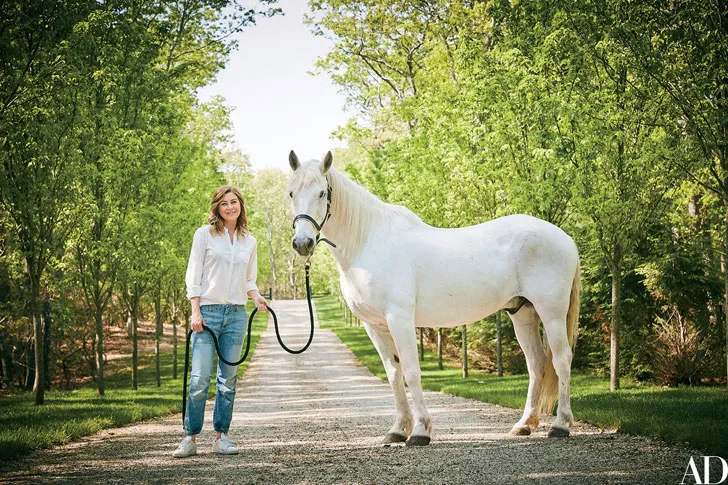 Stylischer moderner Scheune für die Stars des amerikanischen Seriens - Gallery image 11