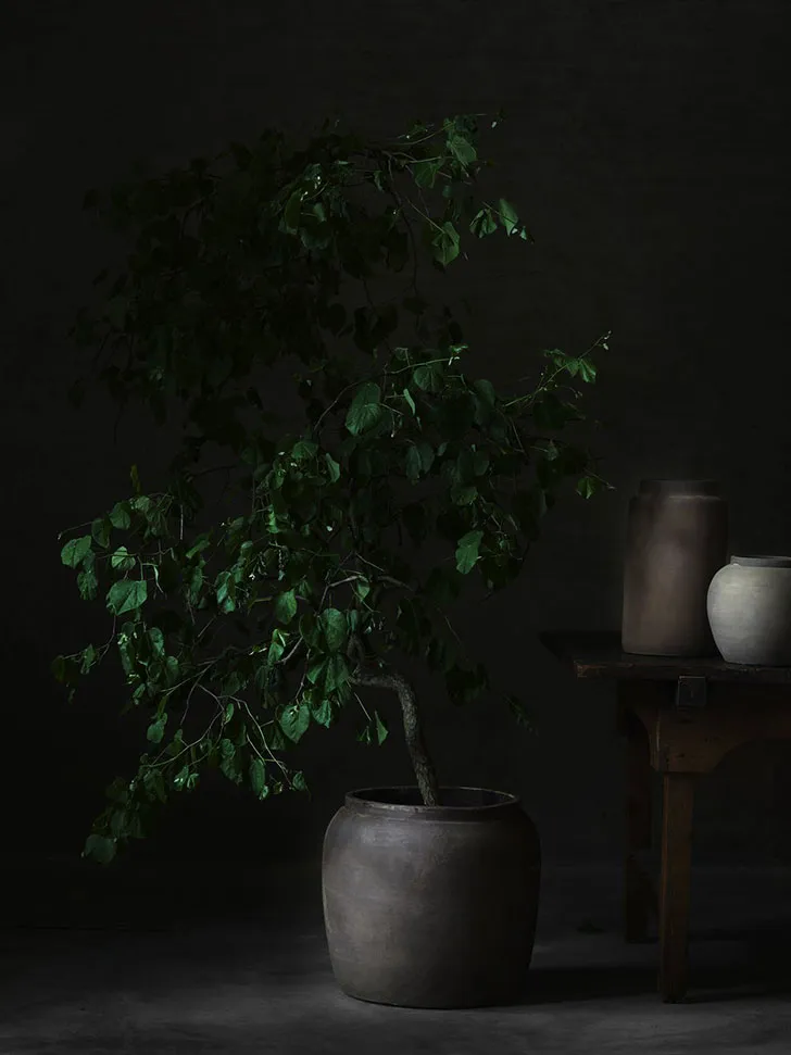 Скандинавський хатинка біля озера — колекція Lake від Tine K Home - Gallery image 12