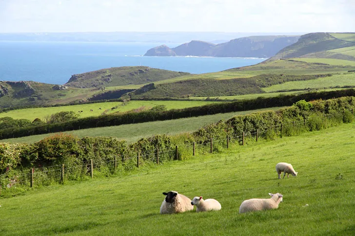 Неймовітний дім на місці старої часовні біля моря в Англії - Gallery image 18