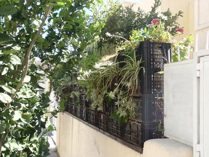 45 Идей переработки пластиковых бутылок OLYMPUS DIGITAL CAMERA