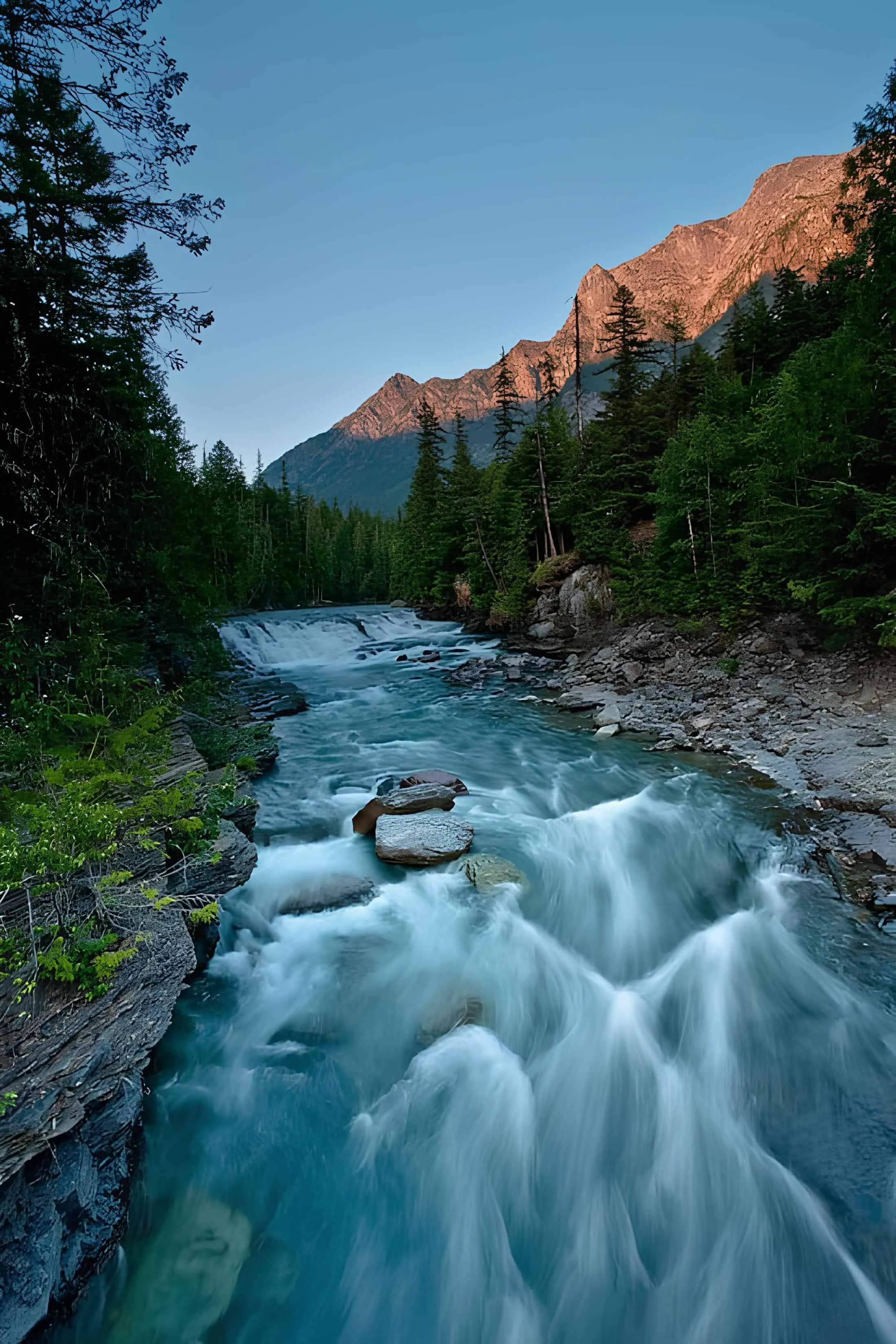 Rapid stream flowing through pine forest with mountain peaks