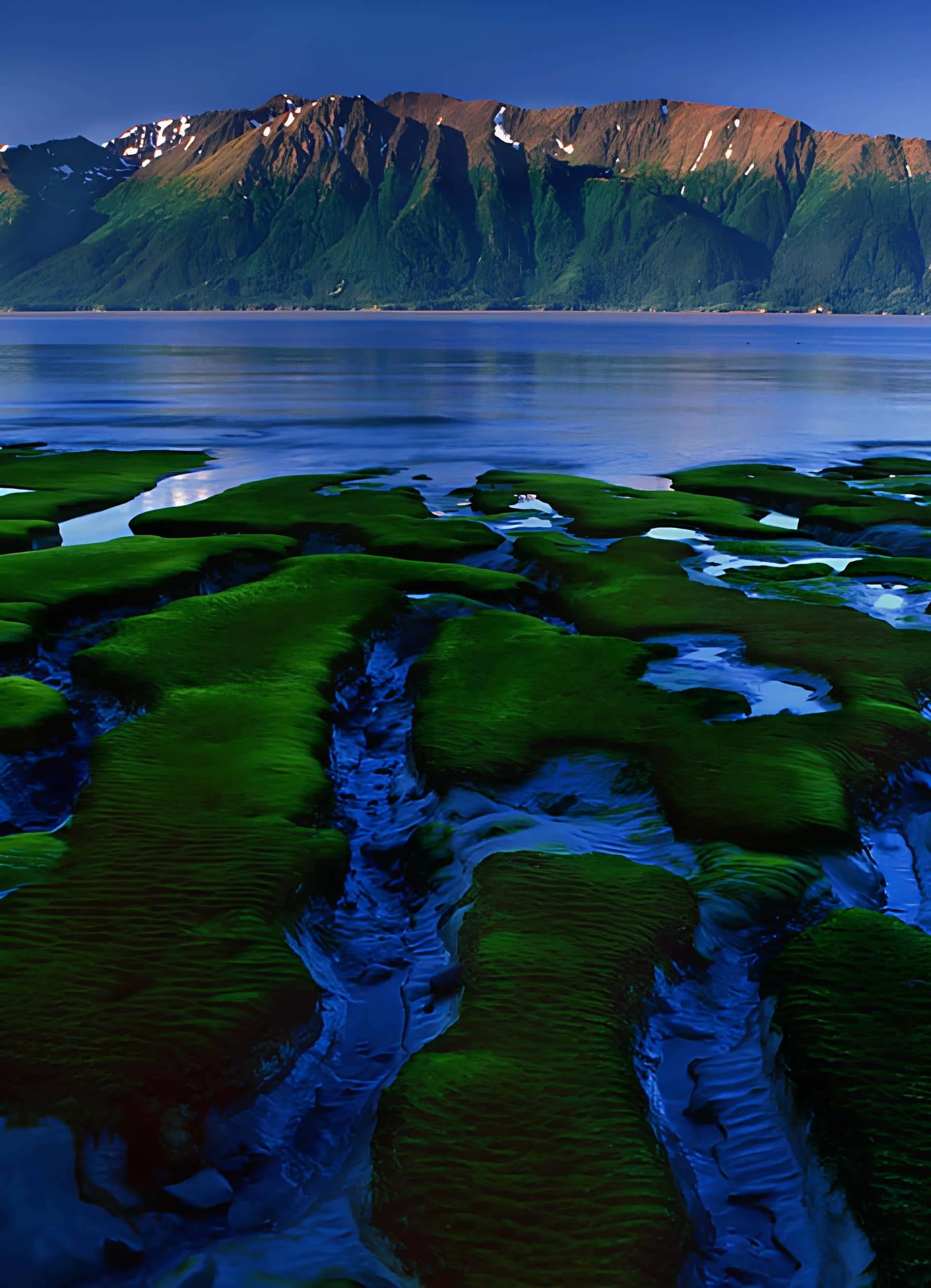 Green shoreline with reflections and distant snow-capped mountains