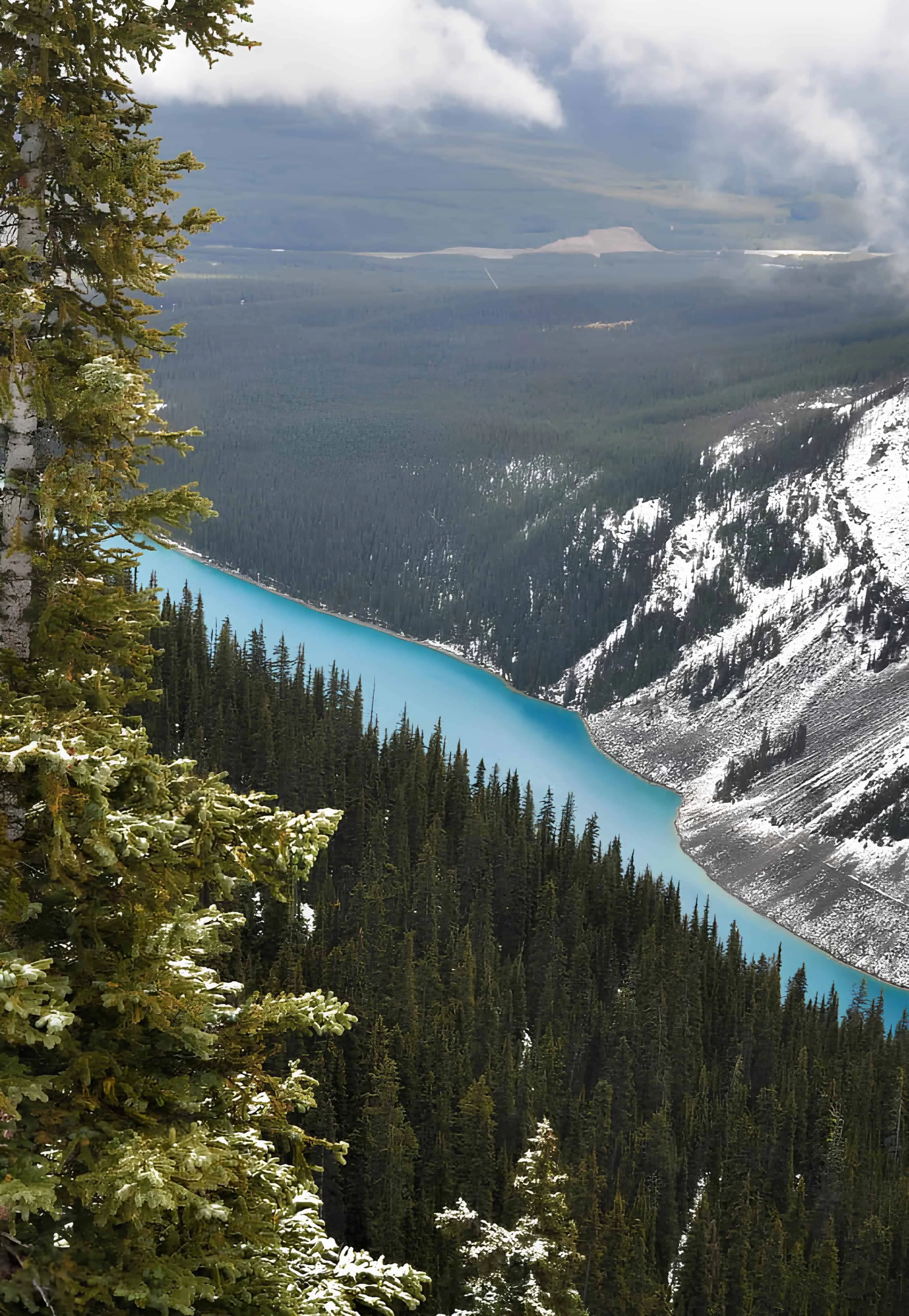Bright blue river winding through snowy evergreen forests