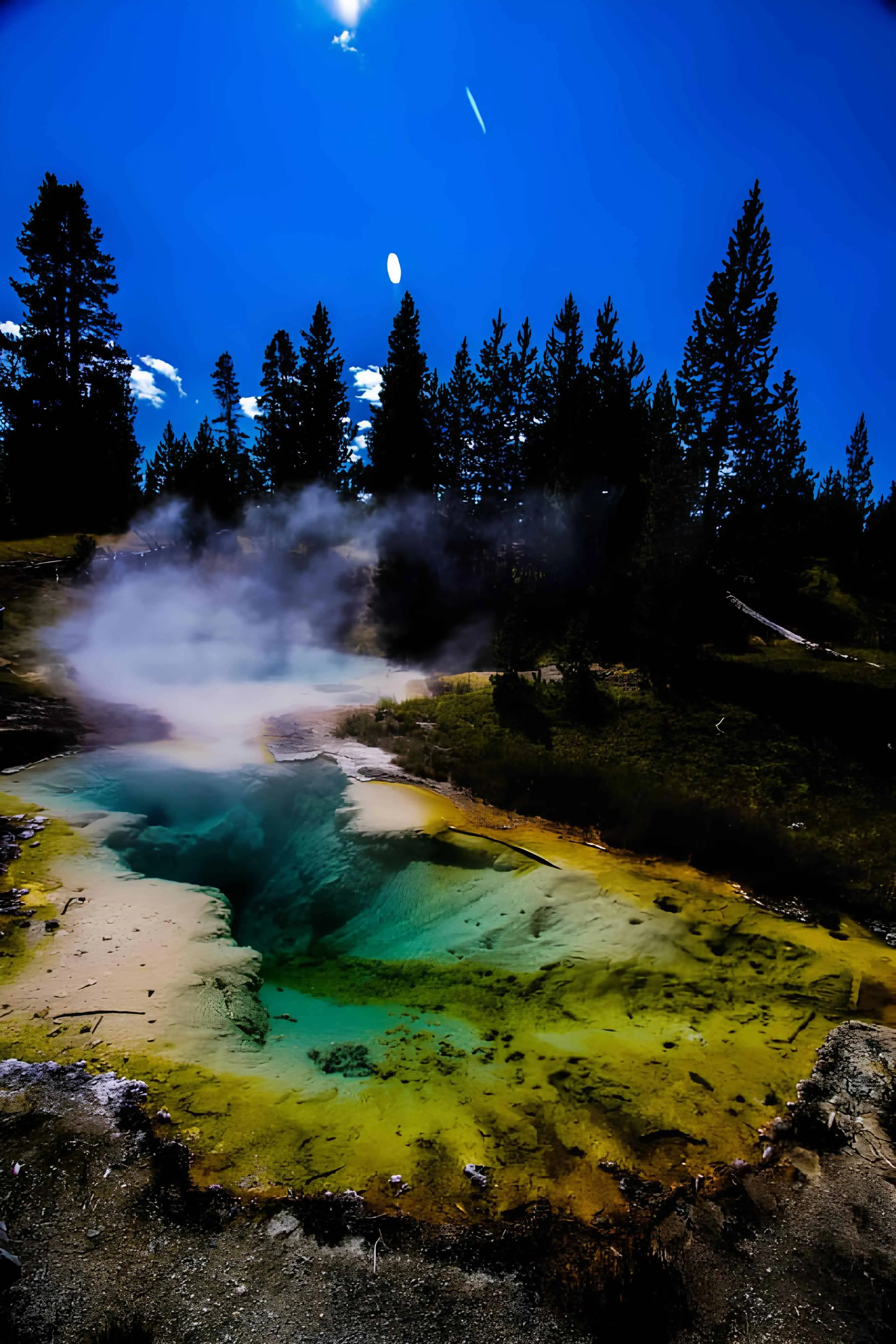 Flower-filled hot spring with steam under a bright blue sky