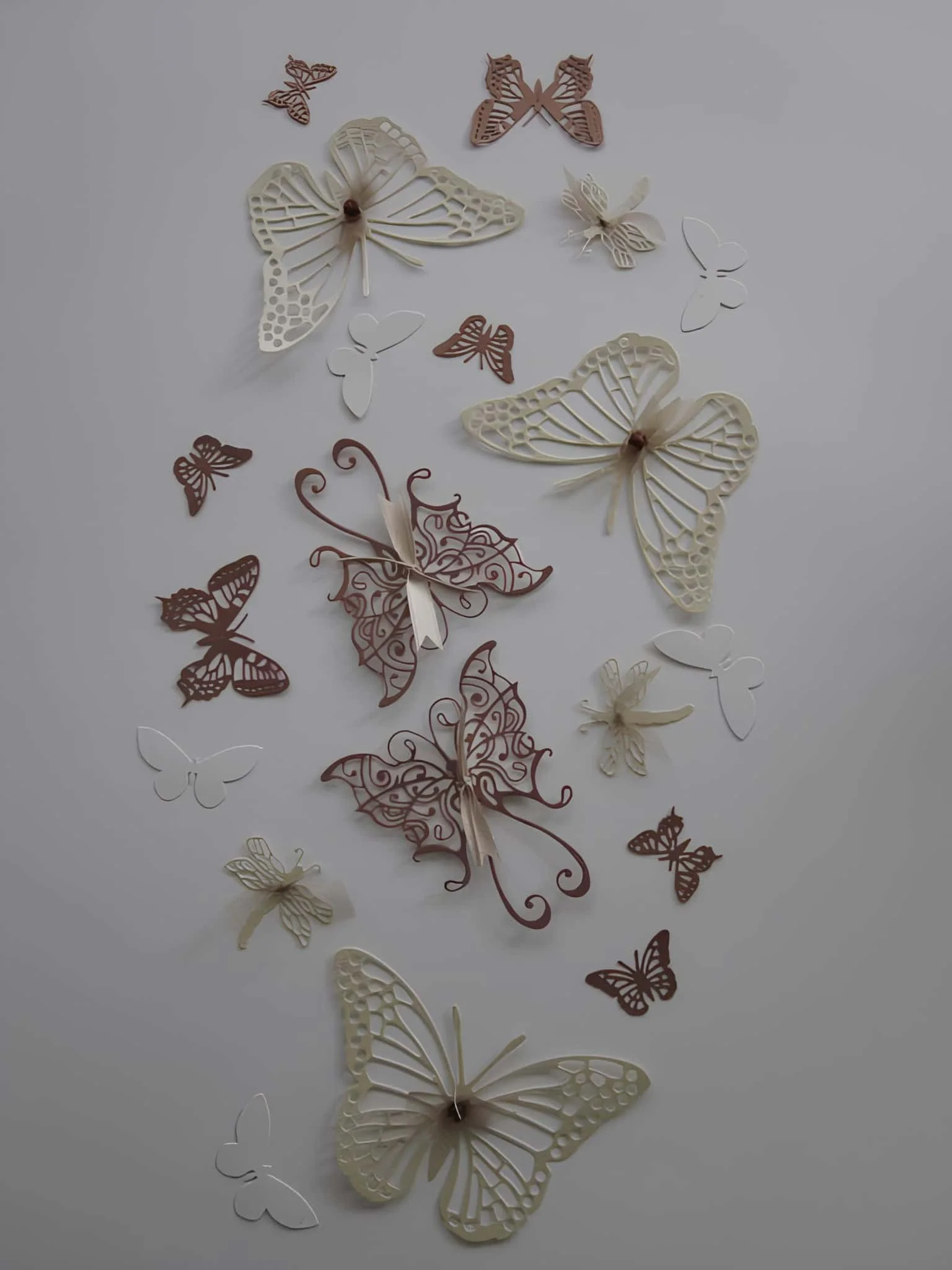 墙上的精美纸蝴蝶