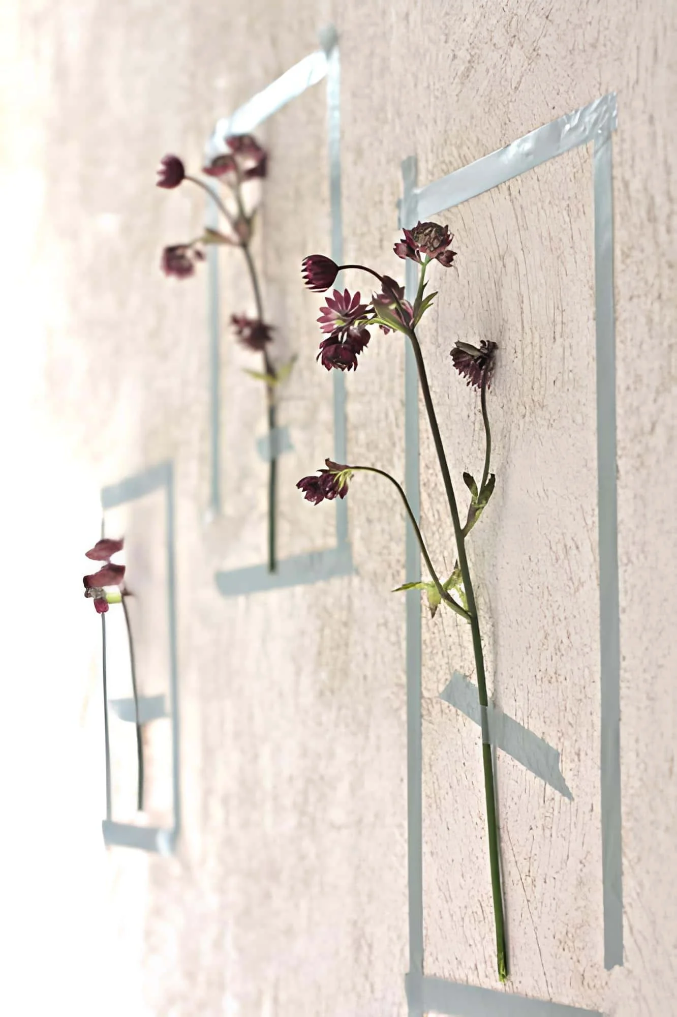 用花朵和胶带直接装饰墙面的极简设计