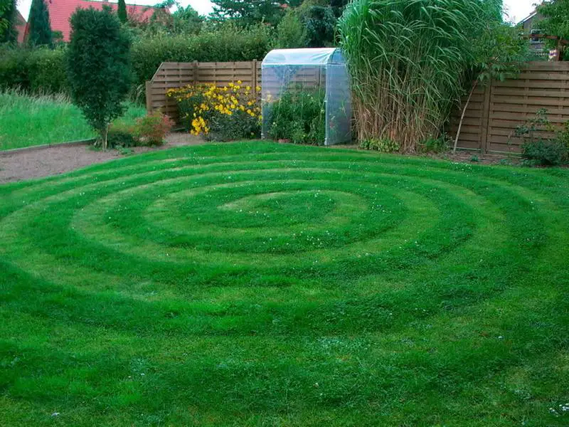 Підкормка газону