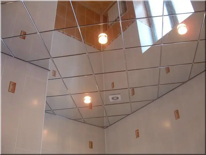Mirror Ceilings