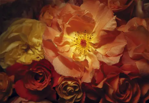 Wall Murals with Flowers
