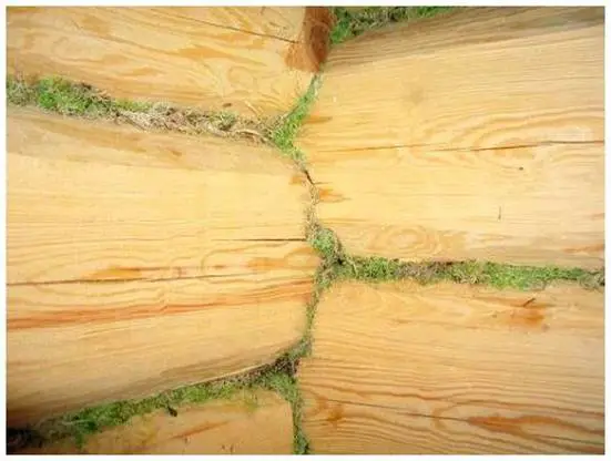 Log Cabin Chinking – Methods and Materials for Curing Wooden Logs