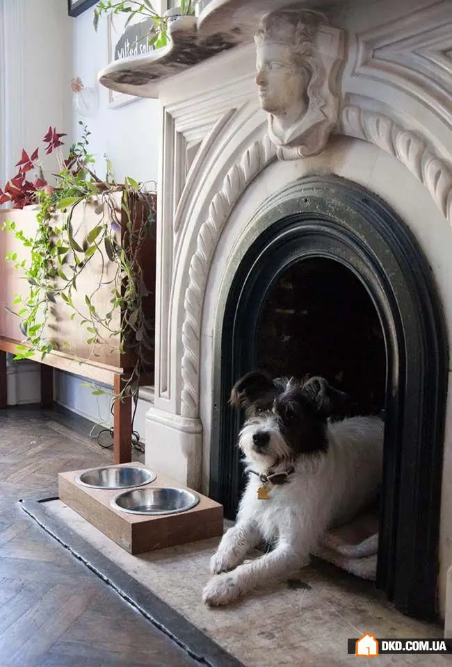 如何装饰装饰性壁炉：10个最佳创意，50个明亮示例