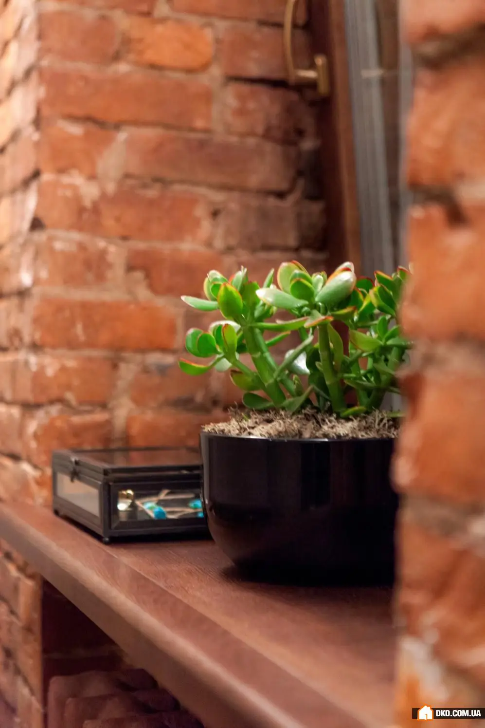 如何在老房中打造现代室内设计:真实案例