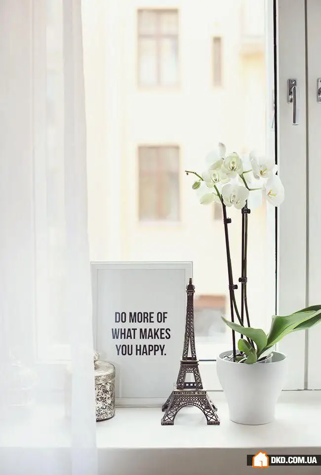 如何装饰窗台:6个想法,30个实例