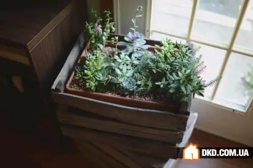 How to Refresh Interior Budget-Friendly: 5 Ways