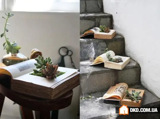 How to Refresh Interior Budget-Friendly: 5 Ways