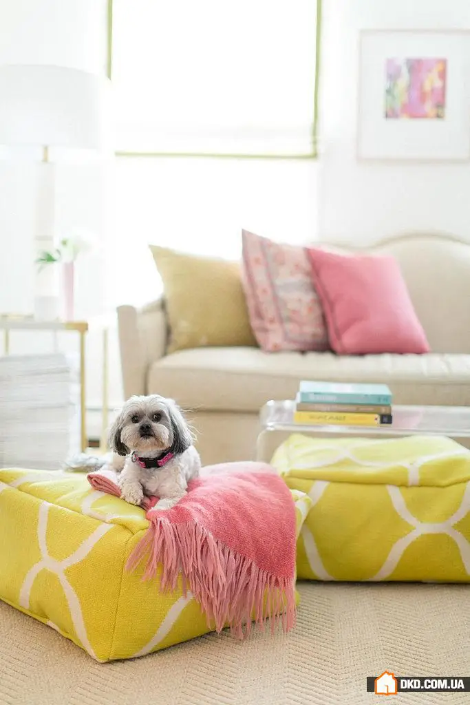 如何在不翻新的情况下更新室内装饰：最佳创意