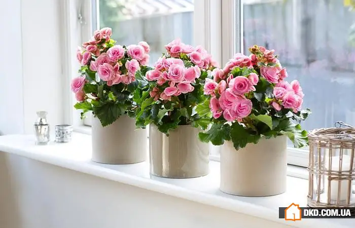 How to Refresh Interior Budget-Friendly: 5 Ways