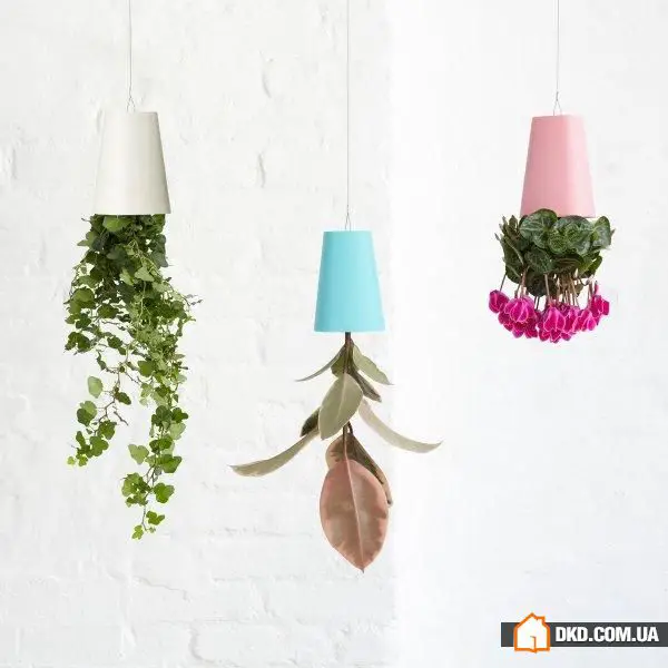 室内花卉：5种原创方式让您的公寓充满绿意