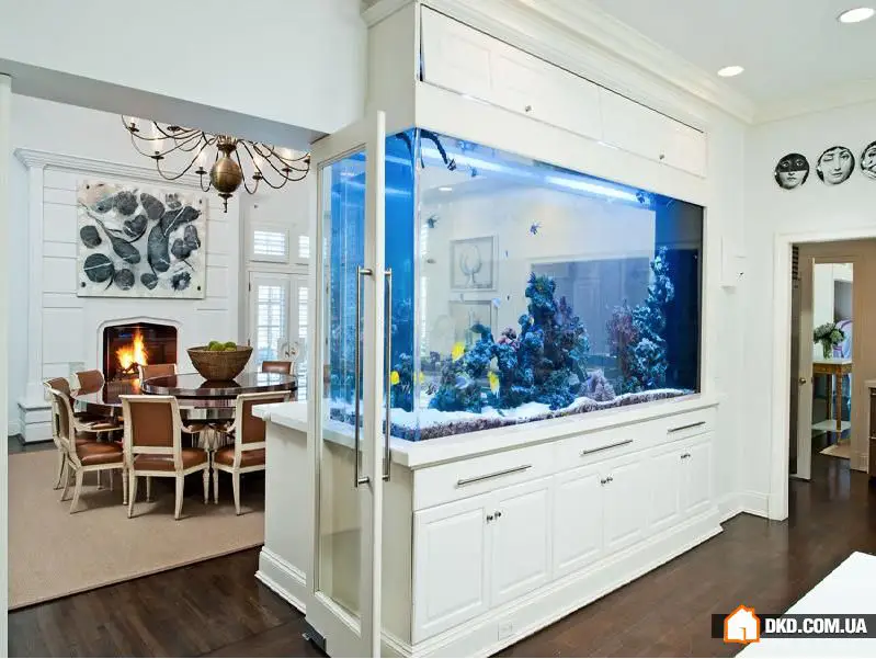 如何在室内设计中摆放鱼缸：5个想法