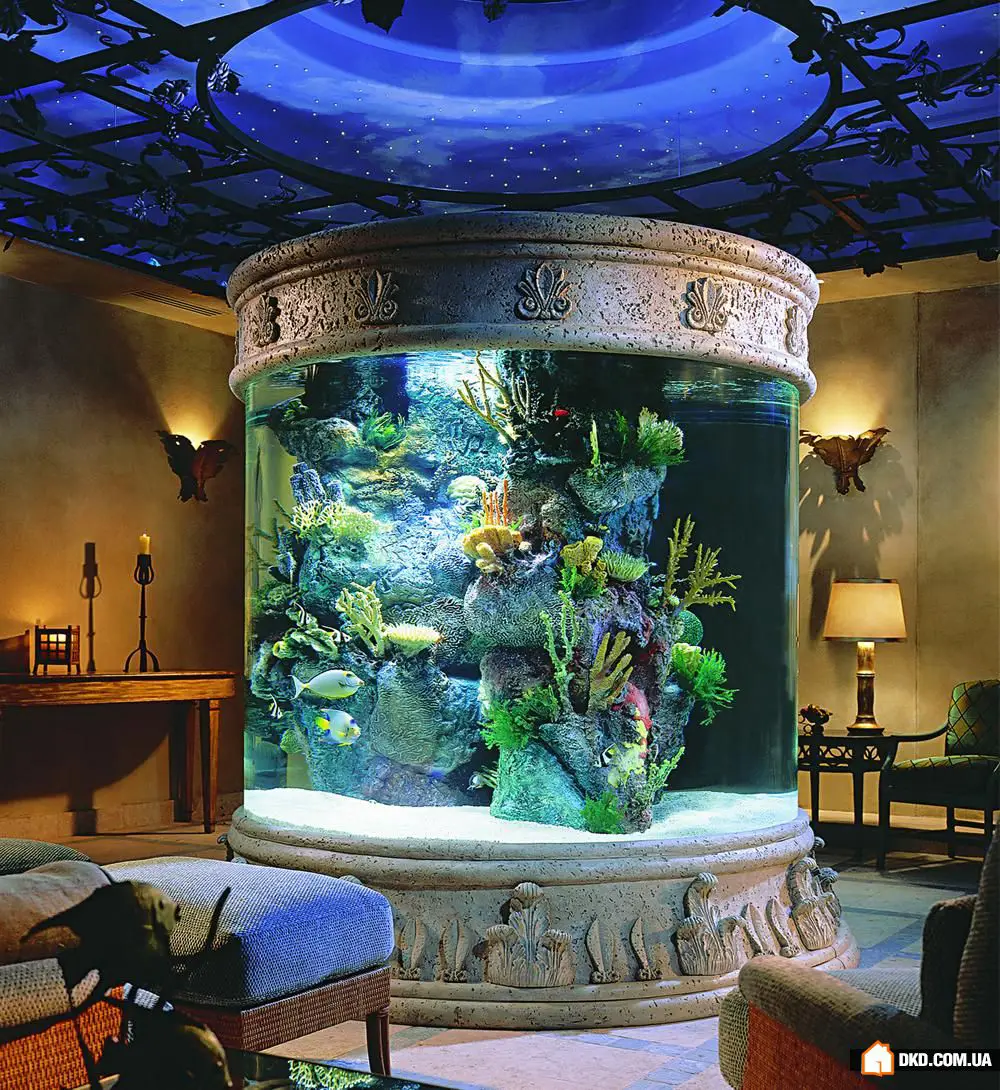 如何在室内设计中摆放鱼缸：5个想法