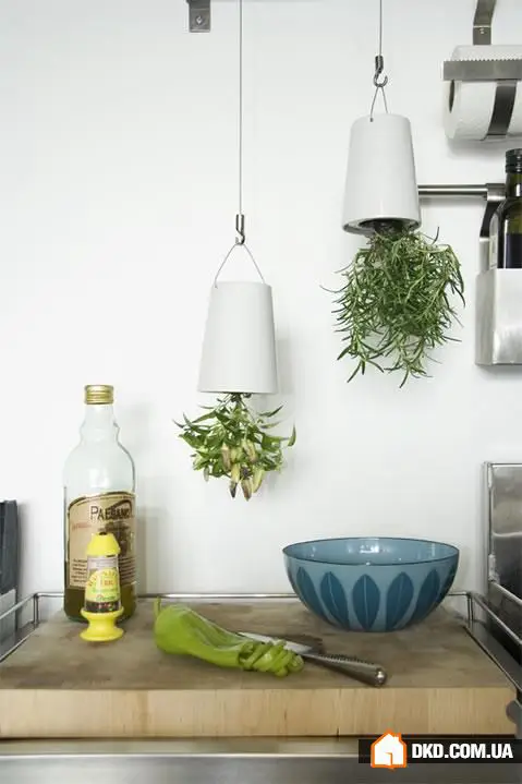 室内花卉：5种原创方式让您的公寓充满绿意