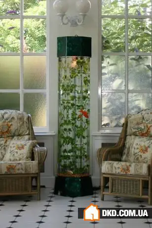 如何在室内设计中摆放鱼缸：5个想法