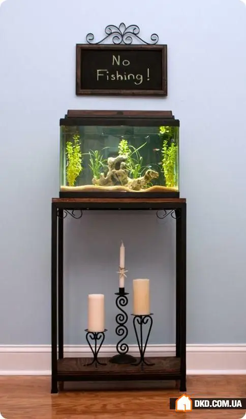 如何在室内设计中摆放鱼缸：5个想法