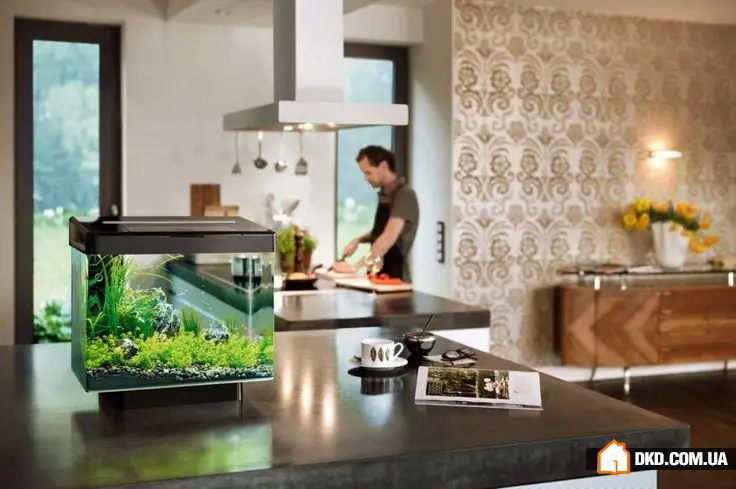 如何在室内设计中摆放鱼缸：5个想法
