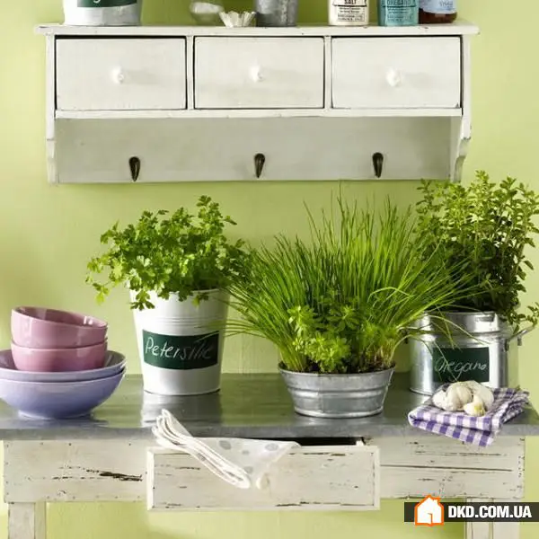 室内花卉：5种原创方式让您的公寓充满绿意