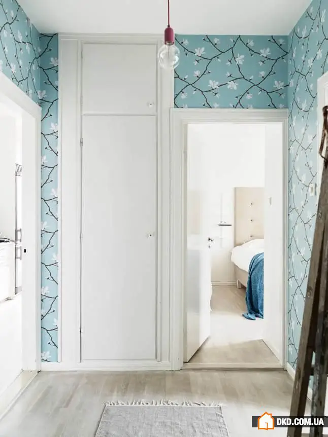 Fresh Perspective: How to Furnish an Apartment with Isolated Rooms