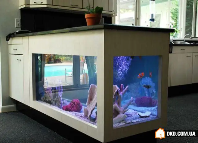 如何在室内设计中摆放鱼缸：5个想法