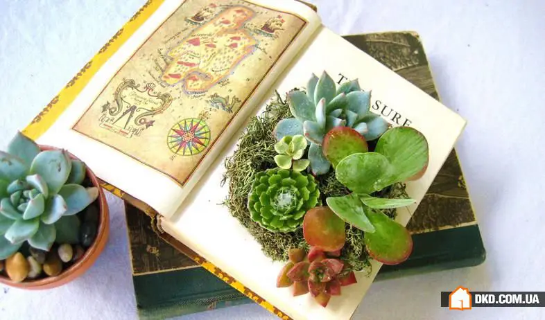 室内花卉：5种原创方式让您的公寓充满绿意