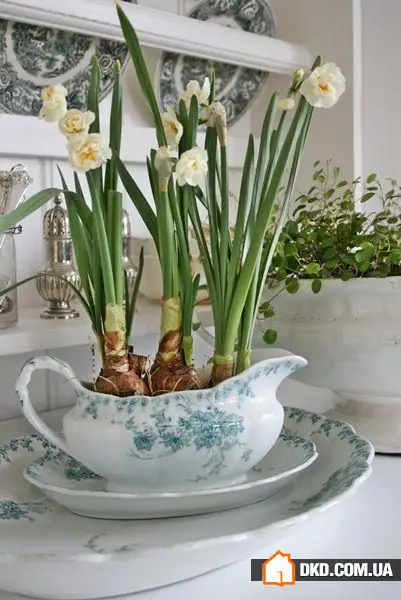 室内花卉：5种原创方式让您的公寓充满绿意