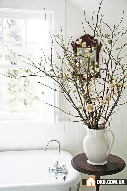 春季准备：深度清洁