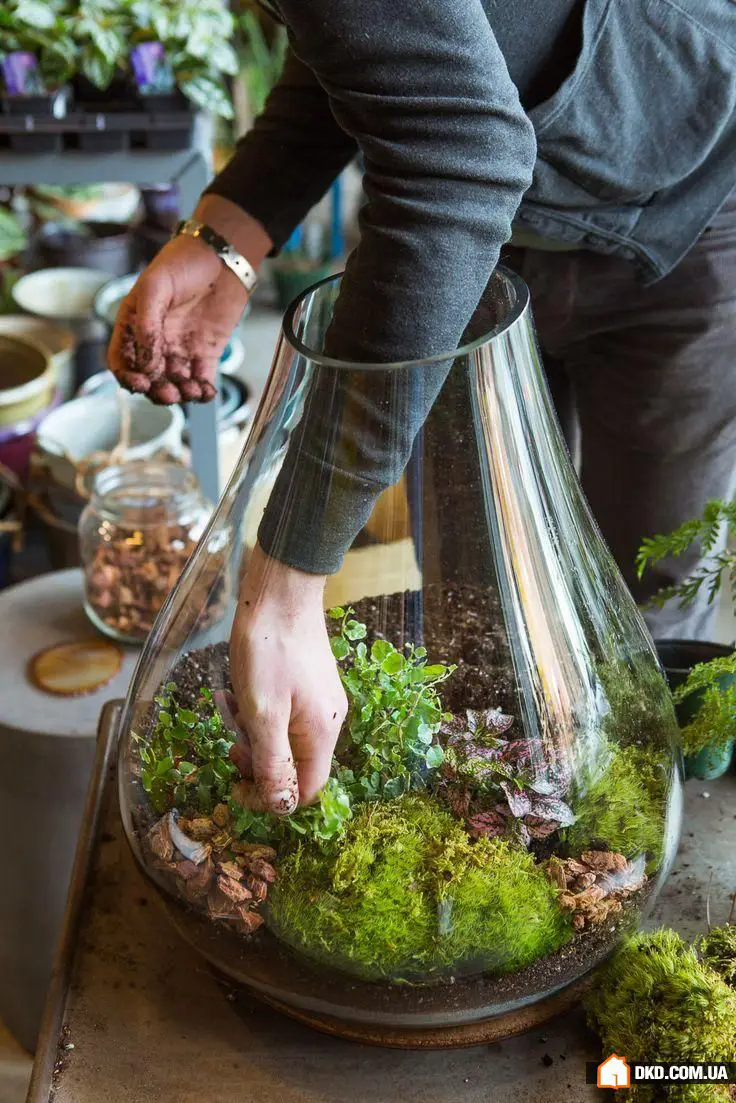 室内花卉：5种原创方式让您的公寓充满绿意