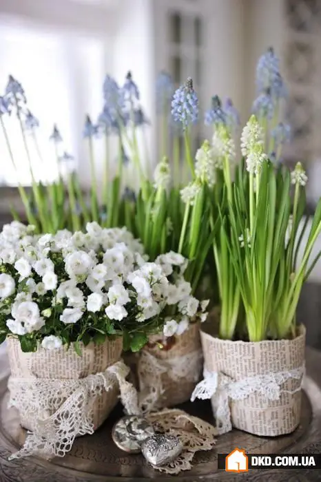 室内花卉：5种原创方式让您的公寓充满绿意