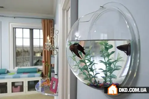 如何在室内设计中摆放鱼缸：5个想法